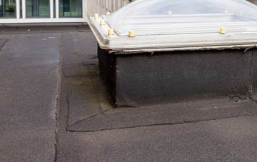 disadvantages of Winterbourne Down flat roofs
